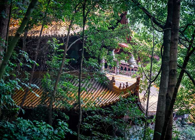 Golden Roof Temple in Forest