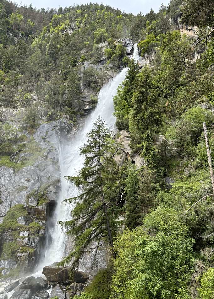 Waterfall in Lush Forest