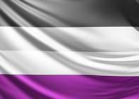 Asexual Pride Flag