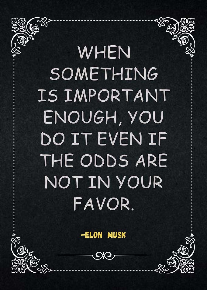 Elon Musk Quote - Important Things