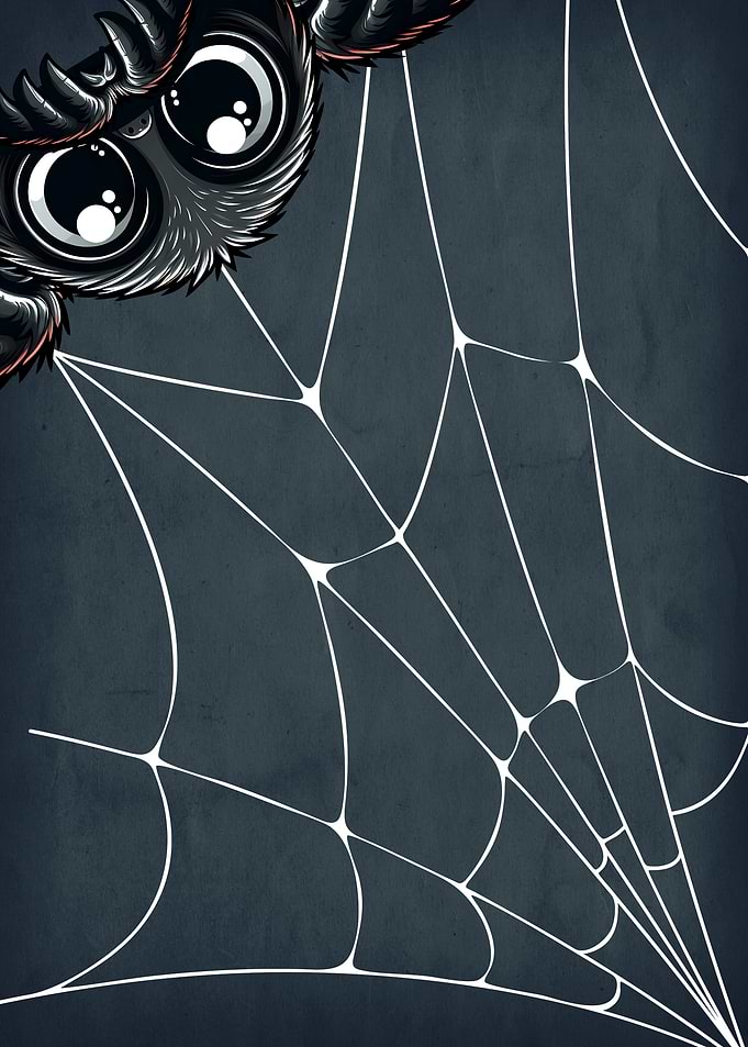 Cute Spider Web