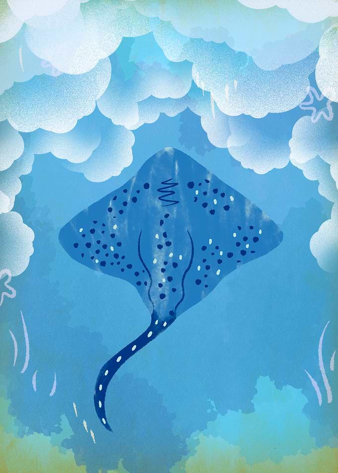 Pastel Spotted Stingray
