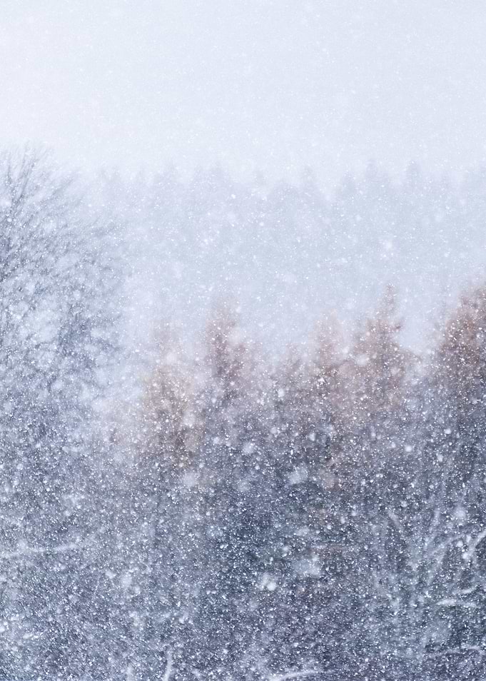 Snowfall - portrait format