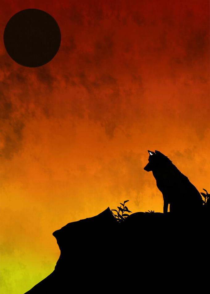Solitary Wolf