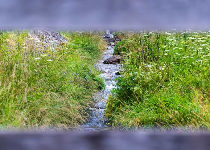 Stream in Meadow - Italy