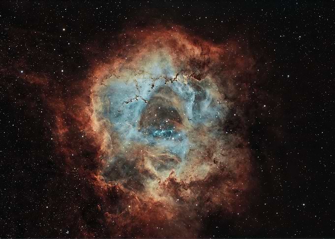 The Rosette - Cosmic Nebula