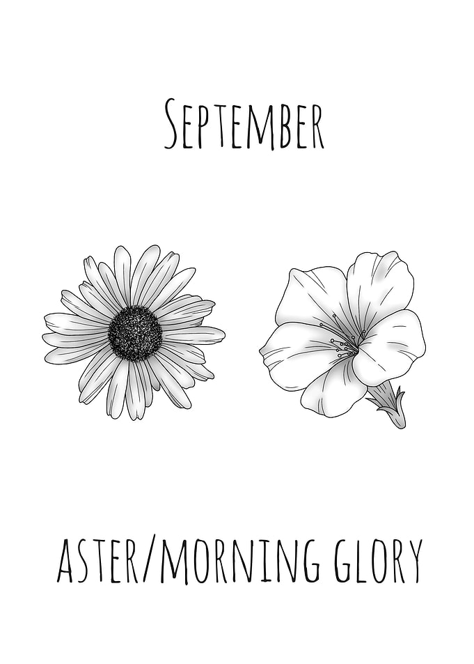 September Birth Flowers