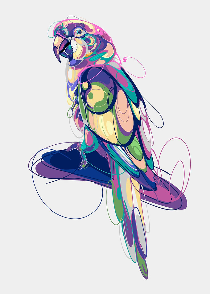 Abstract Parrot Illustration, pop art