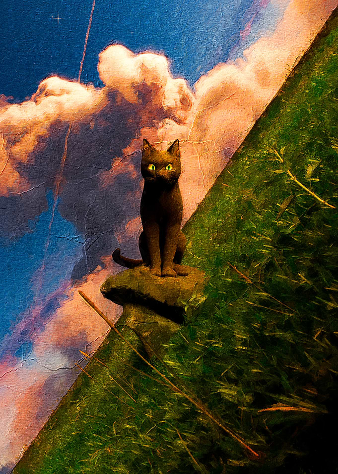 Black Cat on a Meadow