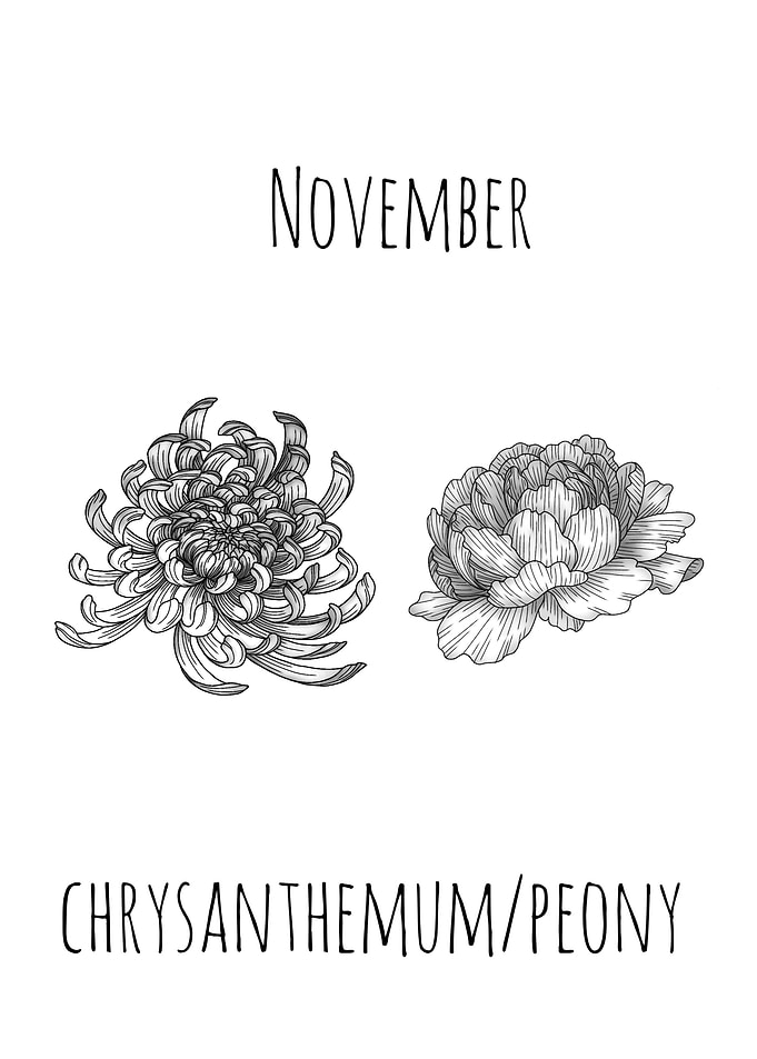 November Birth Flowers