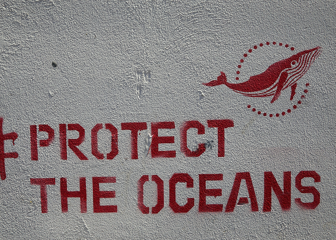 Protect the Oceans Whale Stencil