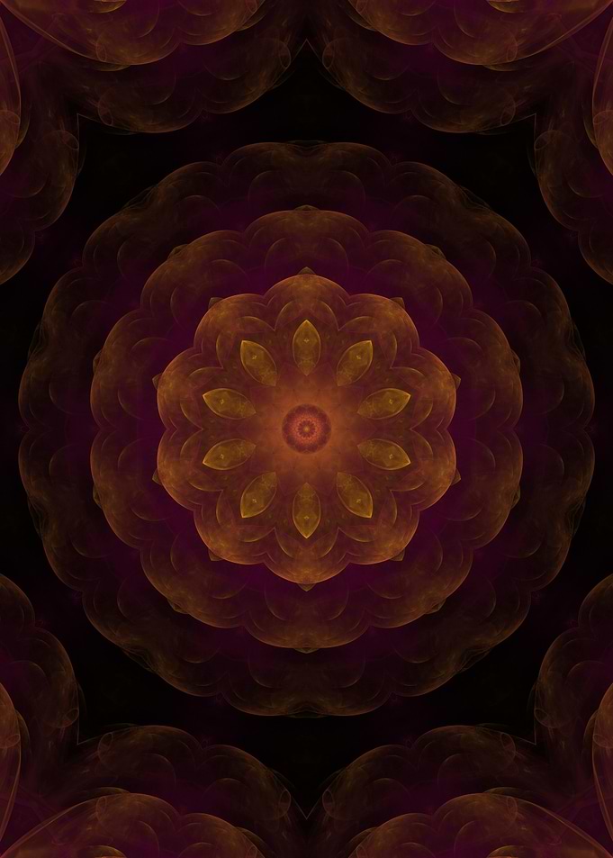 Golden Chrysanthemum