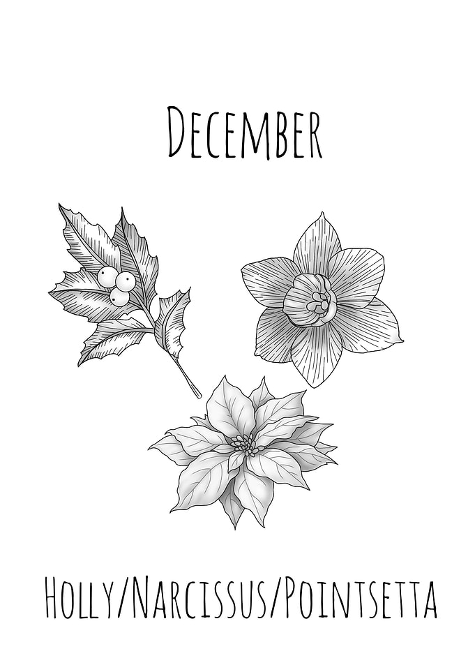 December Birth Flowers