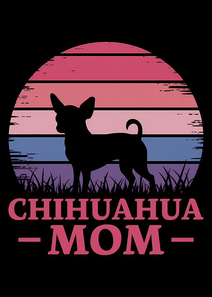 Chihuahua Mom Sunset
