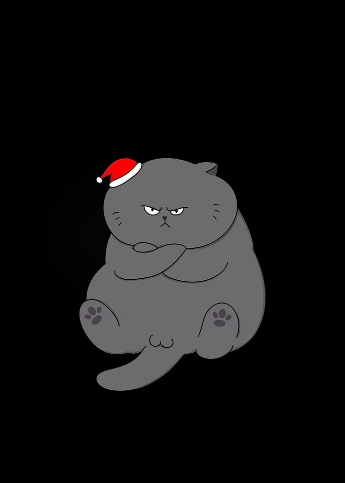 Grumpy Cat Christmas