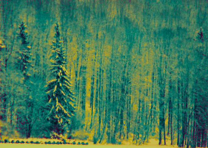 Snowy Forest Landscape Painting