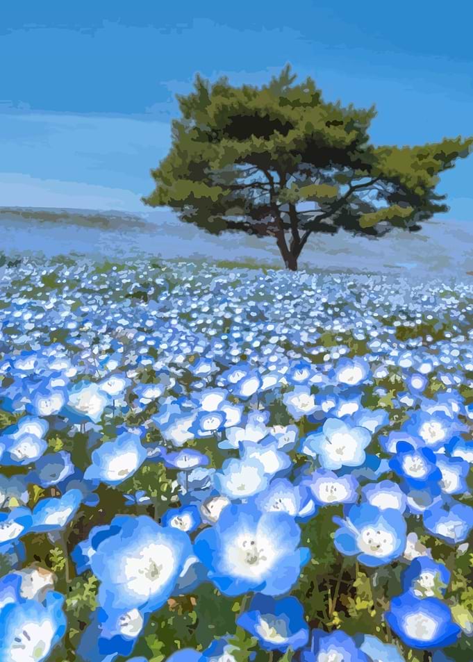 Blue Flower Field