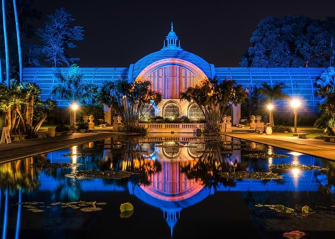Nighttime Botanical Garden