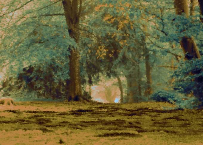 Forest Path Painting
