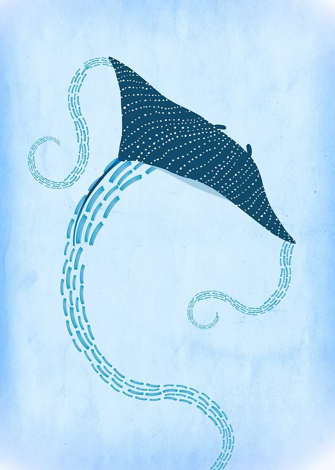 Manta Ray Pastel