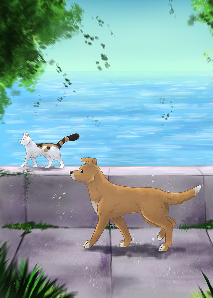 Dog and Cat by the Water