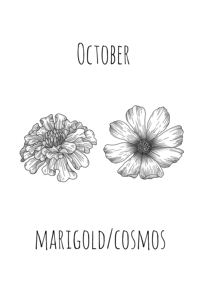 October Birth Flowers