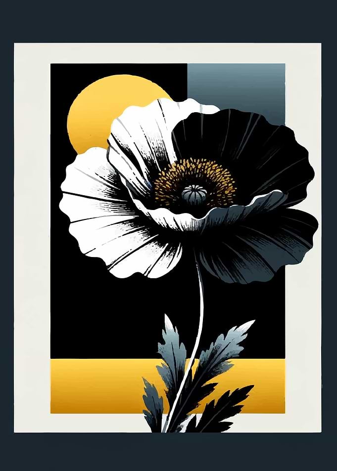 Black and White Poppy