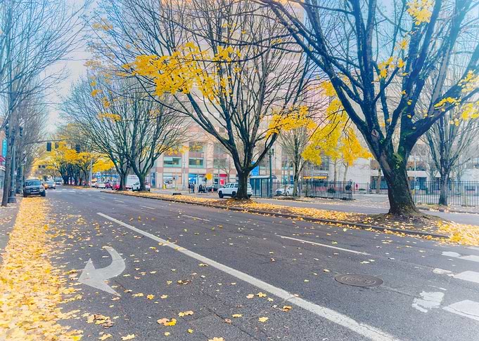 Autumn Street Scene