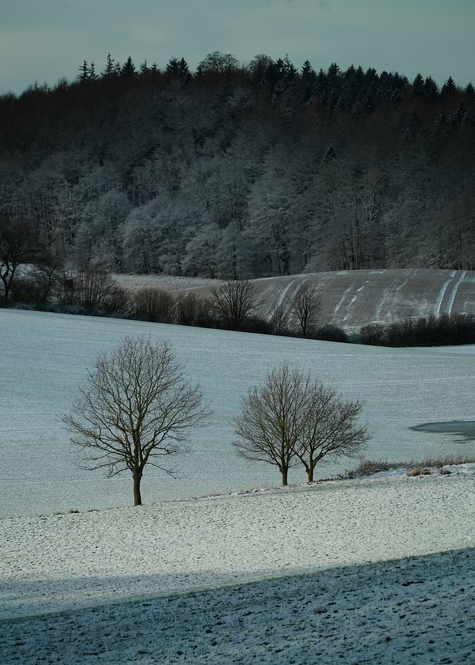 Winter Landscape