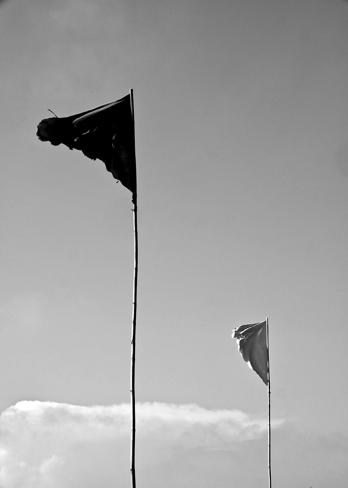 Two Flags in the Wind