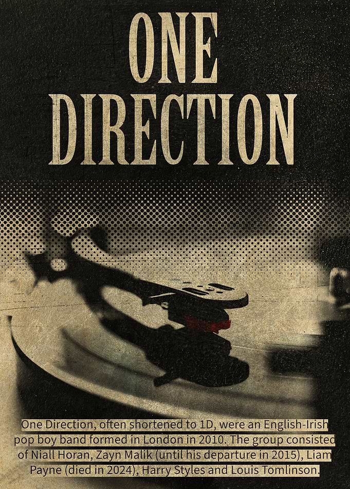 One Direction Vinyl Record