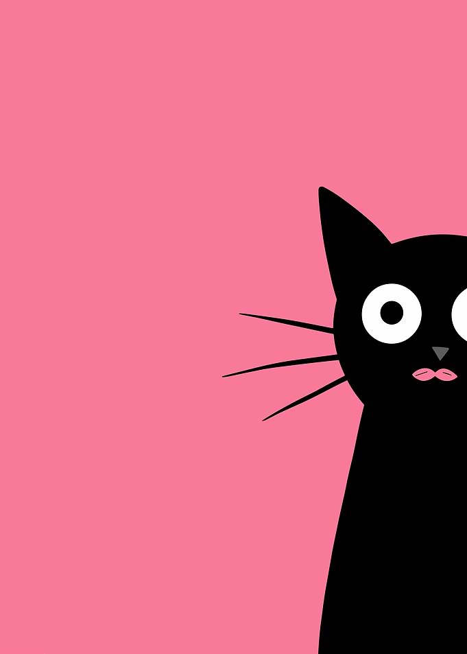 Black Cat on Pink