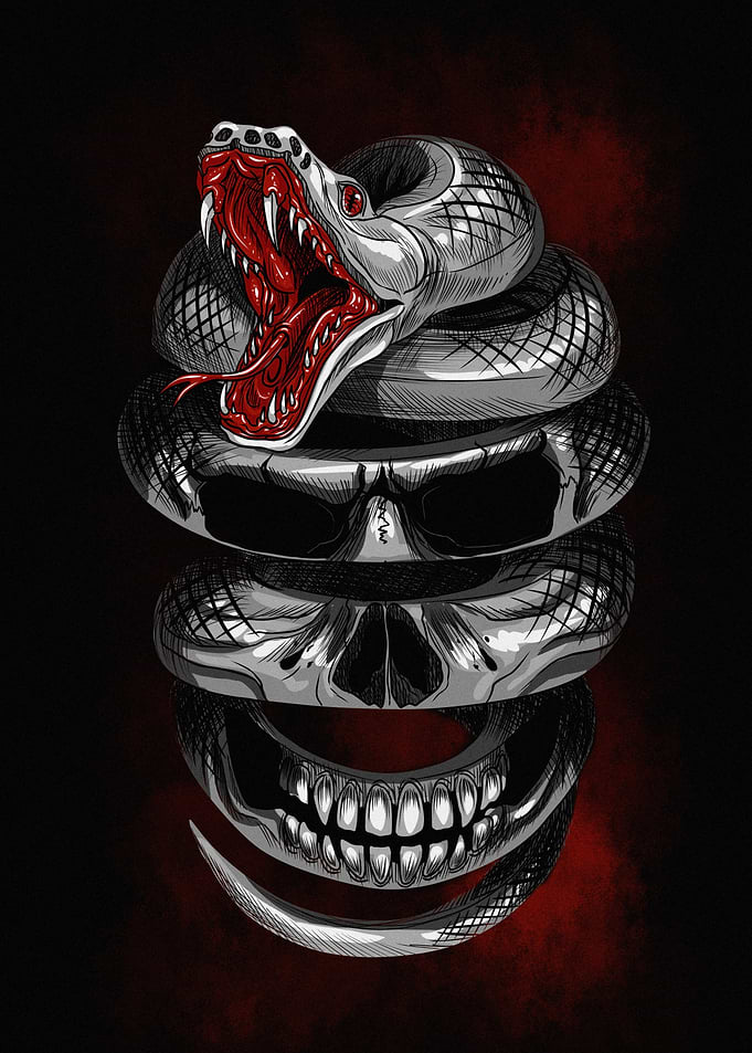 Snake Skull Illustration