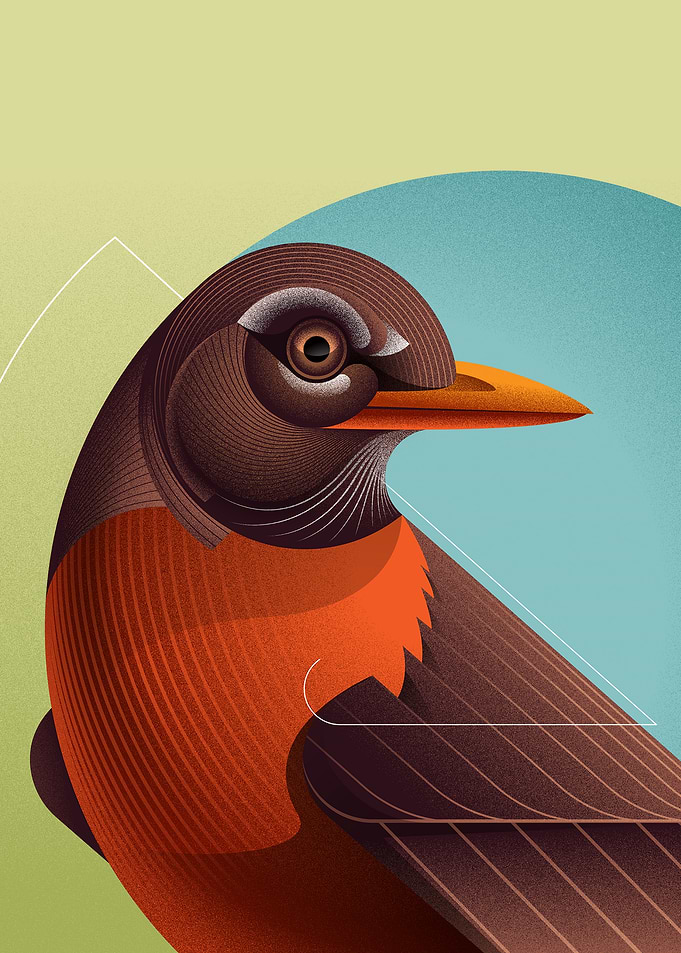Geometric Robin Illustration