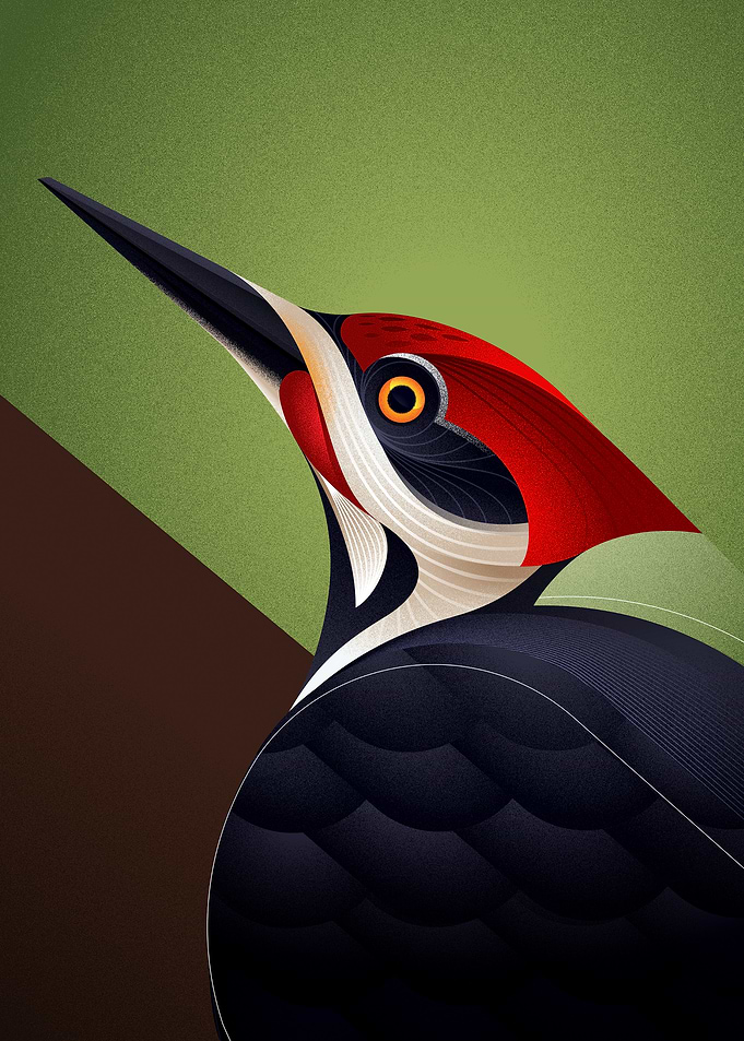 Geometric Pileated Woodpecker Illustration