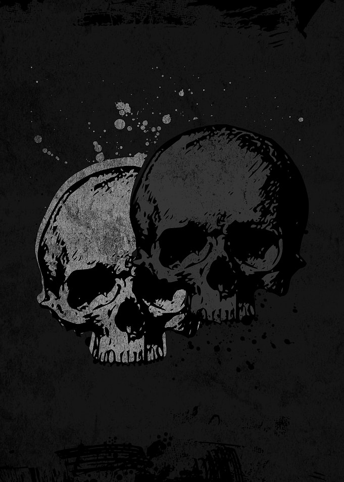 Two Skulls Graphic