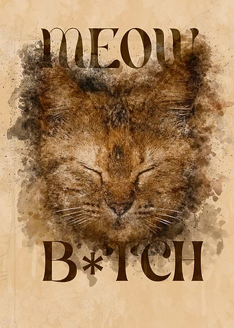Meow Bitch funny Cat watercolor Art