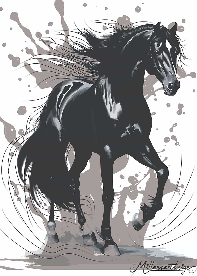 Darr - Black Horse Watercolor