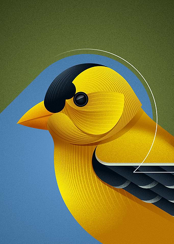 Geometric Goldfinch