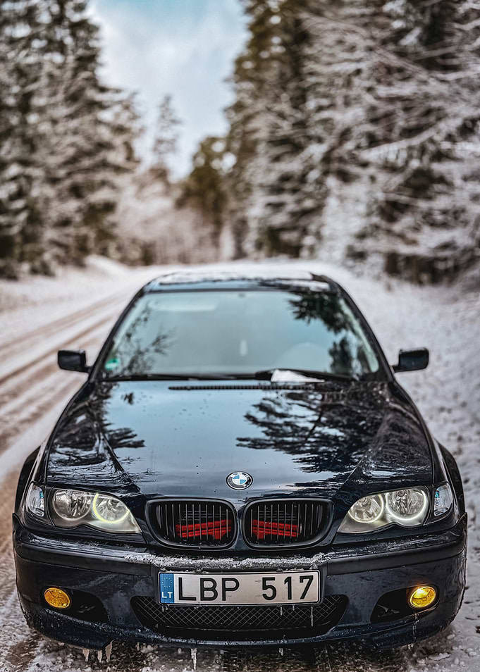 Black BMW in Snowy Forest