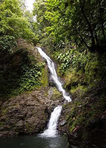 Waterfall in Lush Jungle