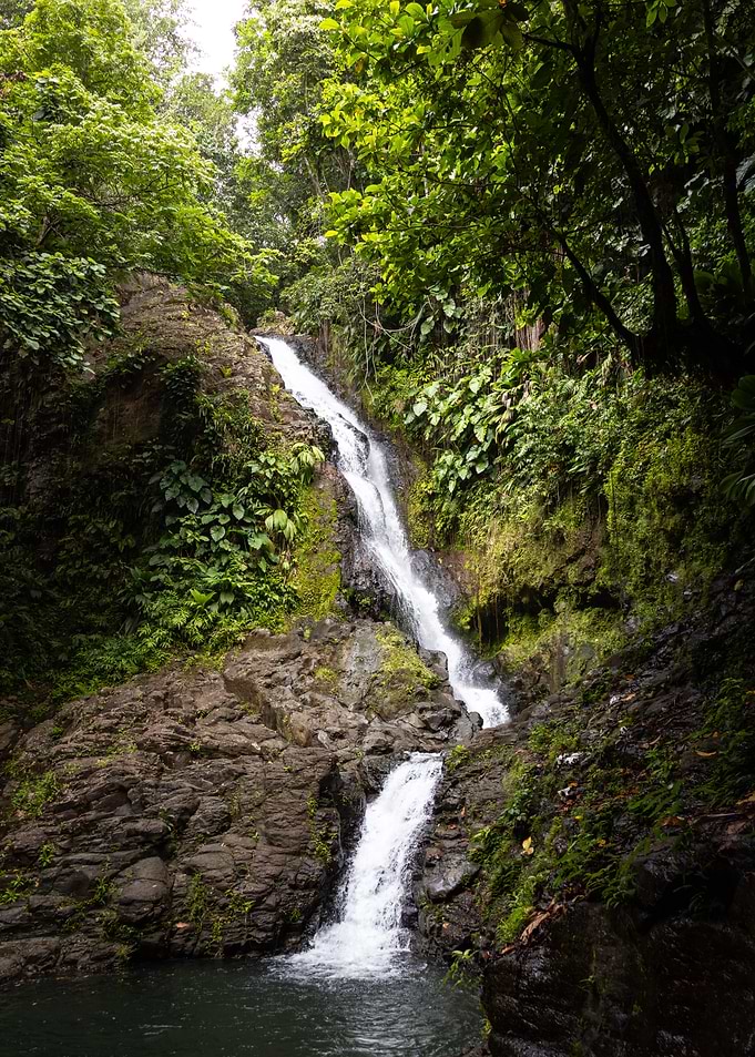 Waterfall in Lush Jungle