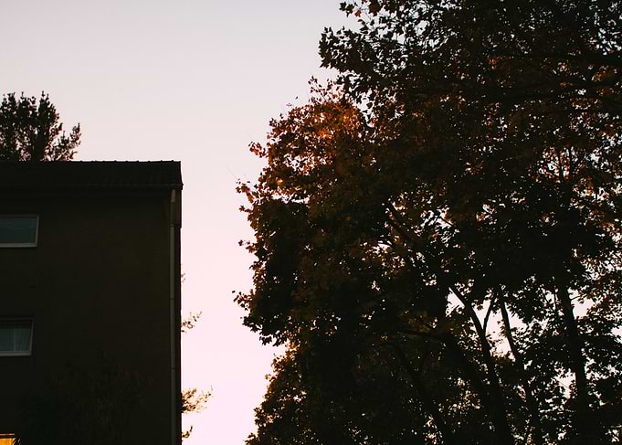 Sunset Silhouette
