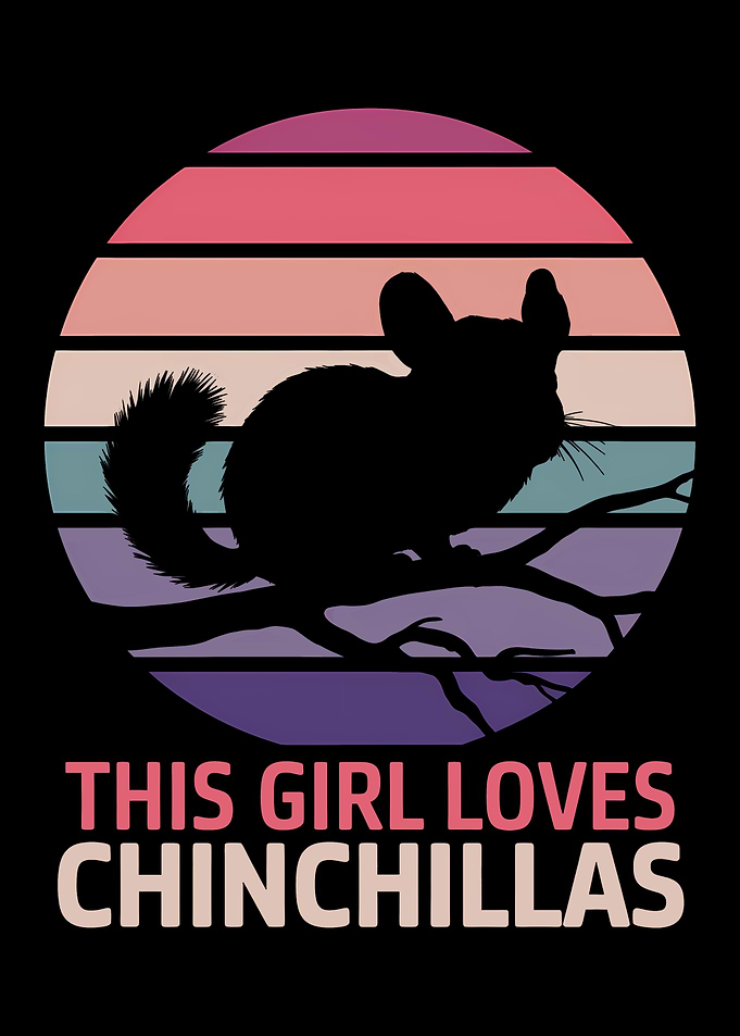 Chinchilla Girl