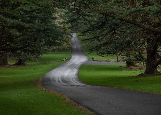 Tollymore Forest Park