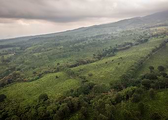 Aerial View of Lush Green Hills