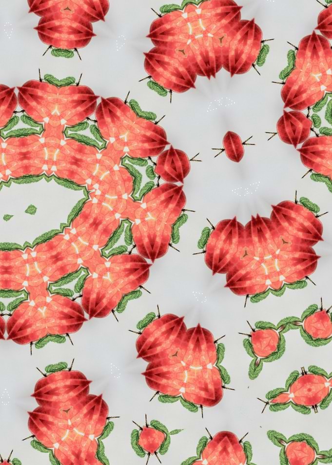 Red and Green Kaleidoscope