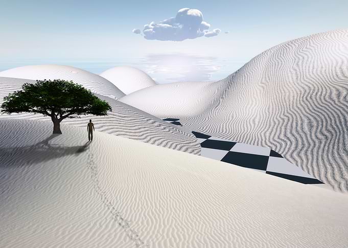 Lone Figure in White Desert