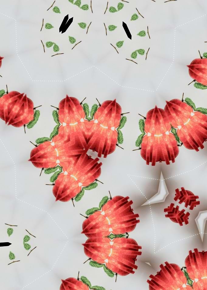 Red Fruit Kaleidoscope