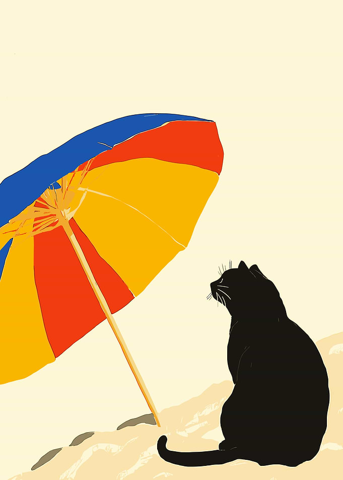 Black Cat Beach Day